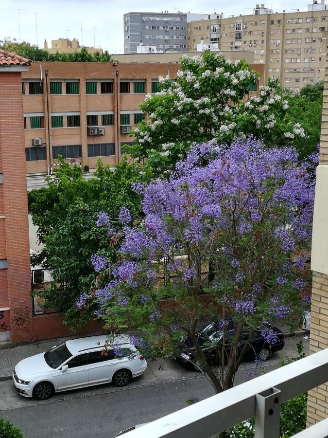 Luminoso Y Amplio Apartamento Sevilla Dış mekan fotoğraf
