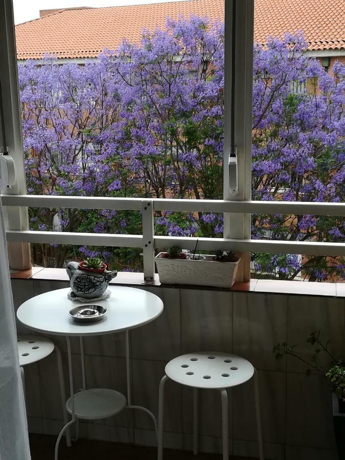 Luminoso Y Amplio Apartamento Sevilla Dış mekan fotoğraf